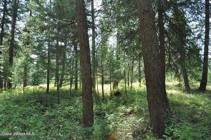 0.31 Acres of Residential Land for Sale in Blanchard, Idaho