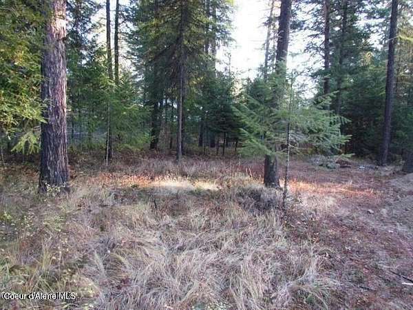 0.31 Acres of Residential Land for Sale in Blanchard, Idaho
