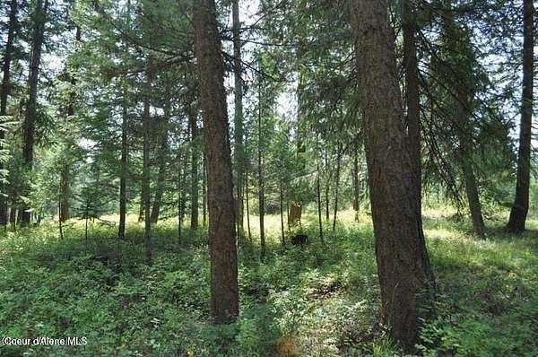 0.31 Acres of Residential Land for Sale in Blanchard, Idaho