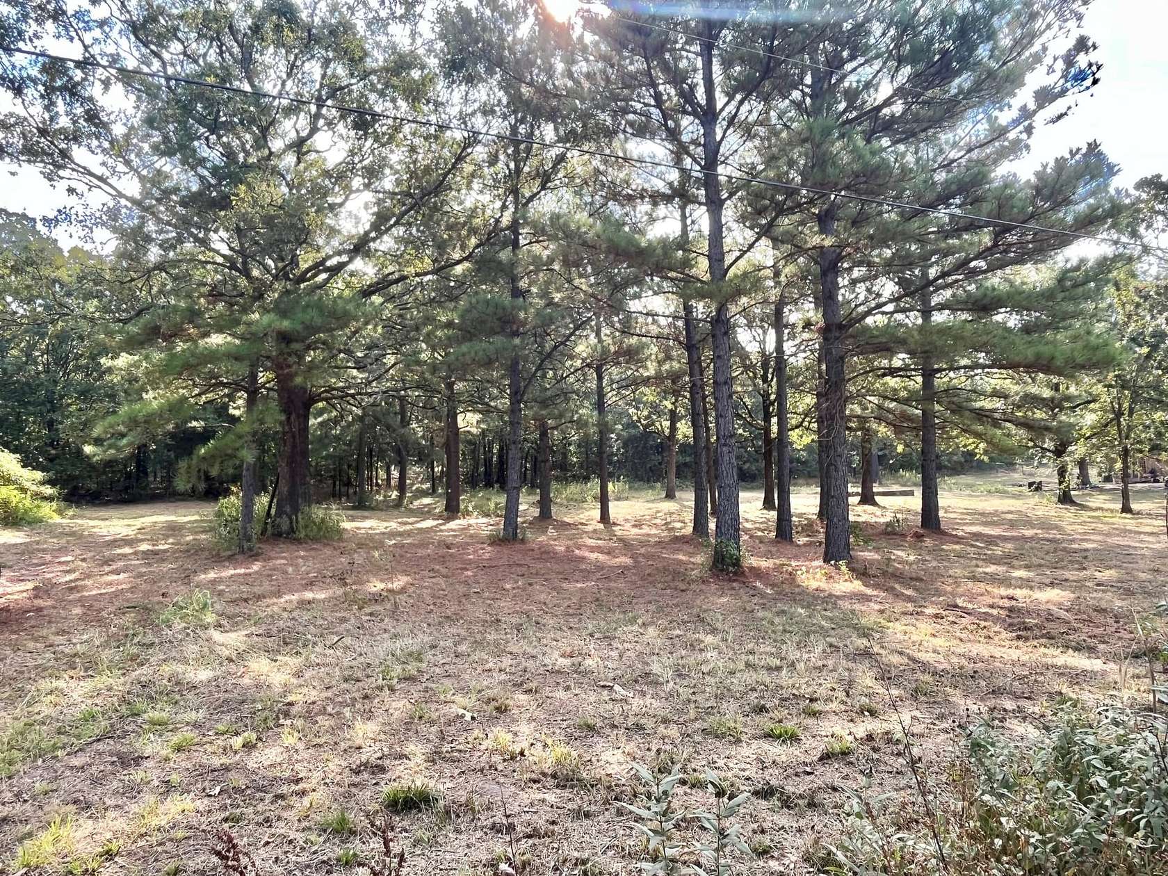 9.14 Acres of Recreational Land for Sale in Ratcliff, Arkansas