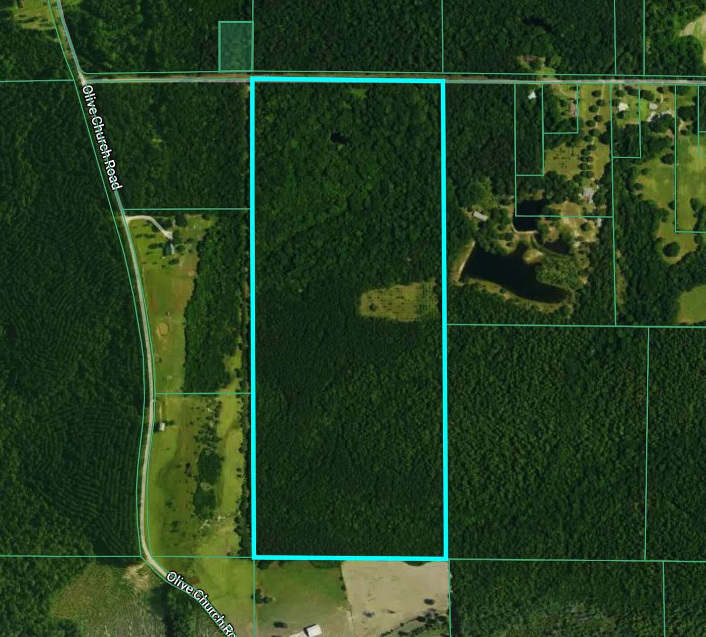 92 Acres of Recreational Land for Sale in Lumberton, Mississippi
