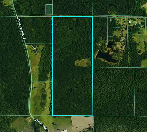 92 Acres of Recreational Land for Sale in Lumberton, Mississippi
