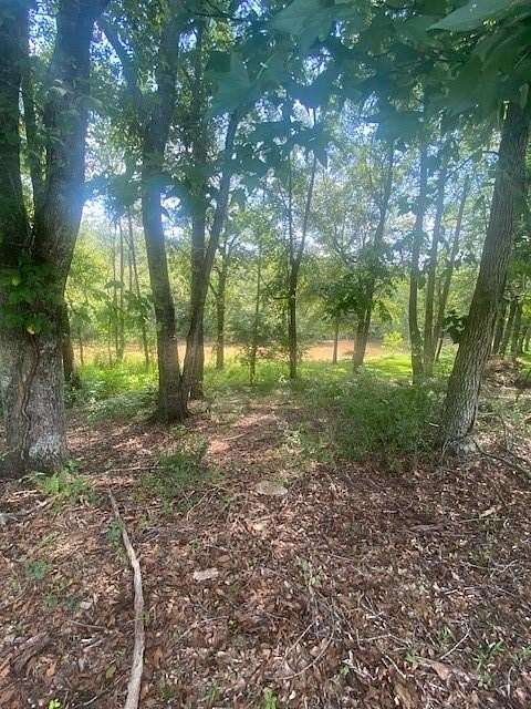 4.45 Acres of Residential Land for Sale in Ball Ground, Georgia