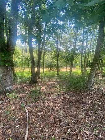 4.45 Acres of Residential Land for Sale in Ball Ground, Georgia