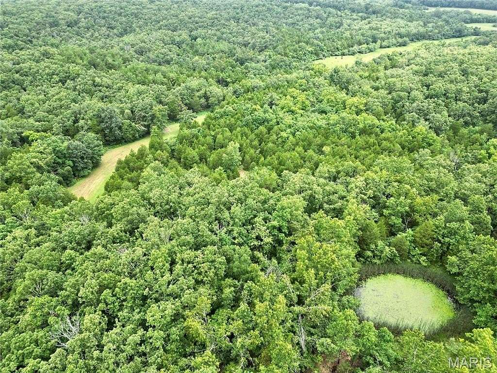 45.2 Acres of Recreational Land for Sale in Perryville, Missouri