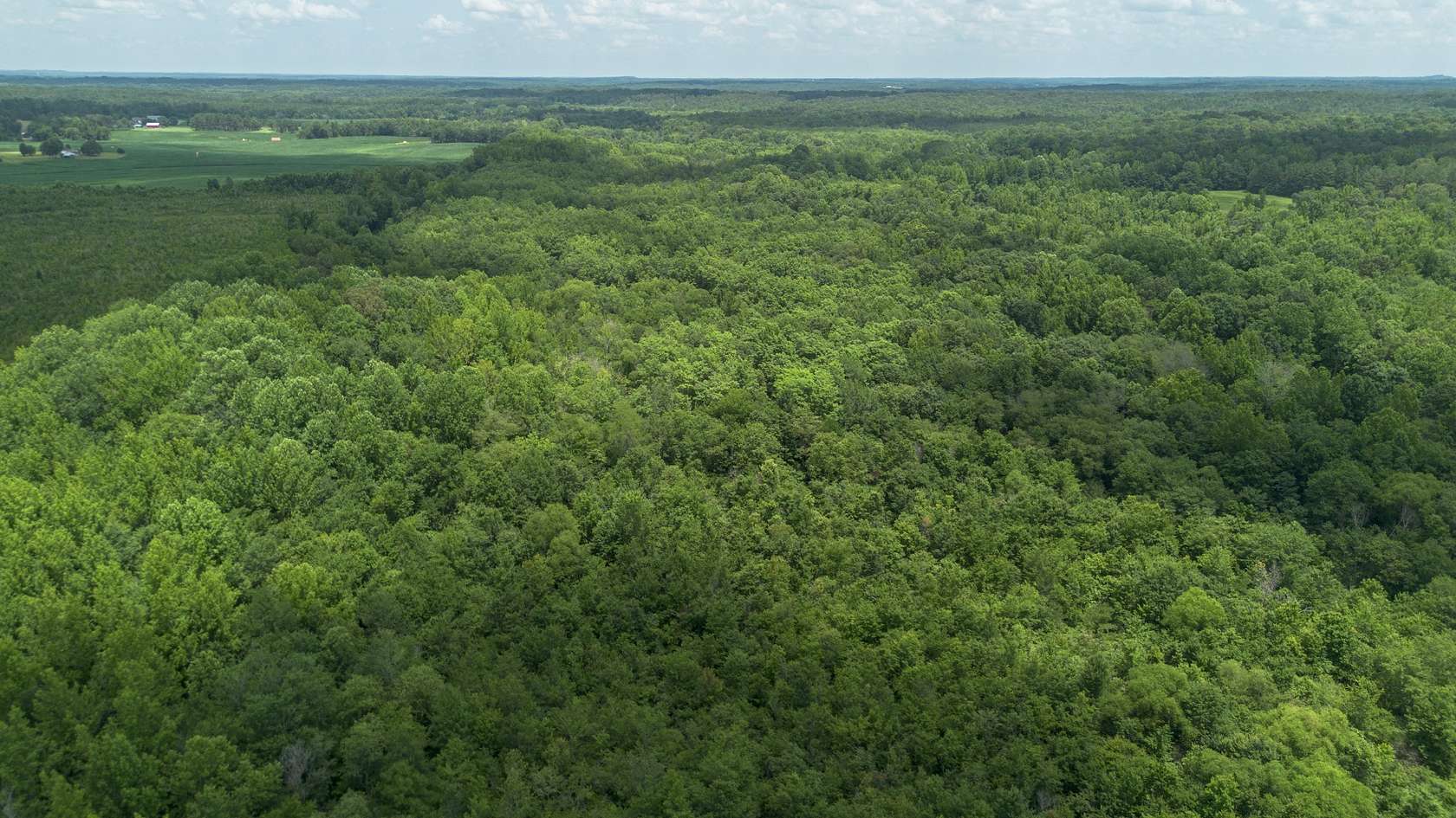 139 Acres of Recreational Land & Farm for Sale in Finger, Tennessee