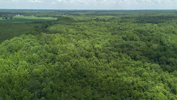 139 Acres of Recreational Land & Farm for Sale in Finger, Tennessee