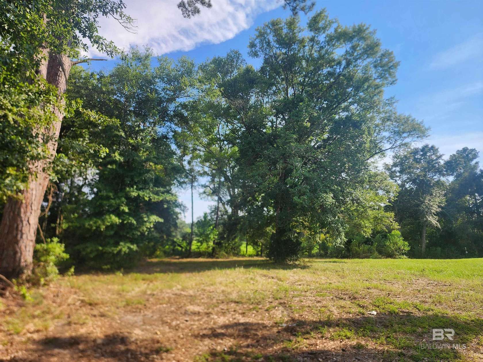 0.56 Acres of Land for Sale in Stapleton, Alabama