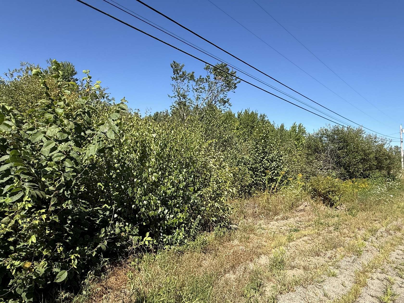 21 Acres of Recreational Land for Sale in Kenduskeag, Maine