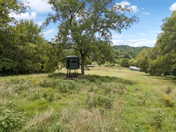 35 Acres of Recreational Land & Farm for Auction in Pulaski, Tennessee