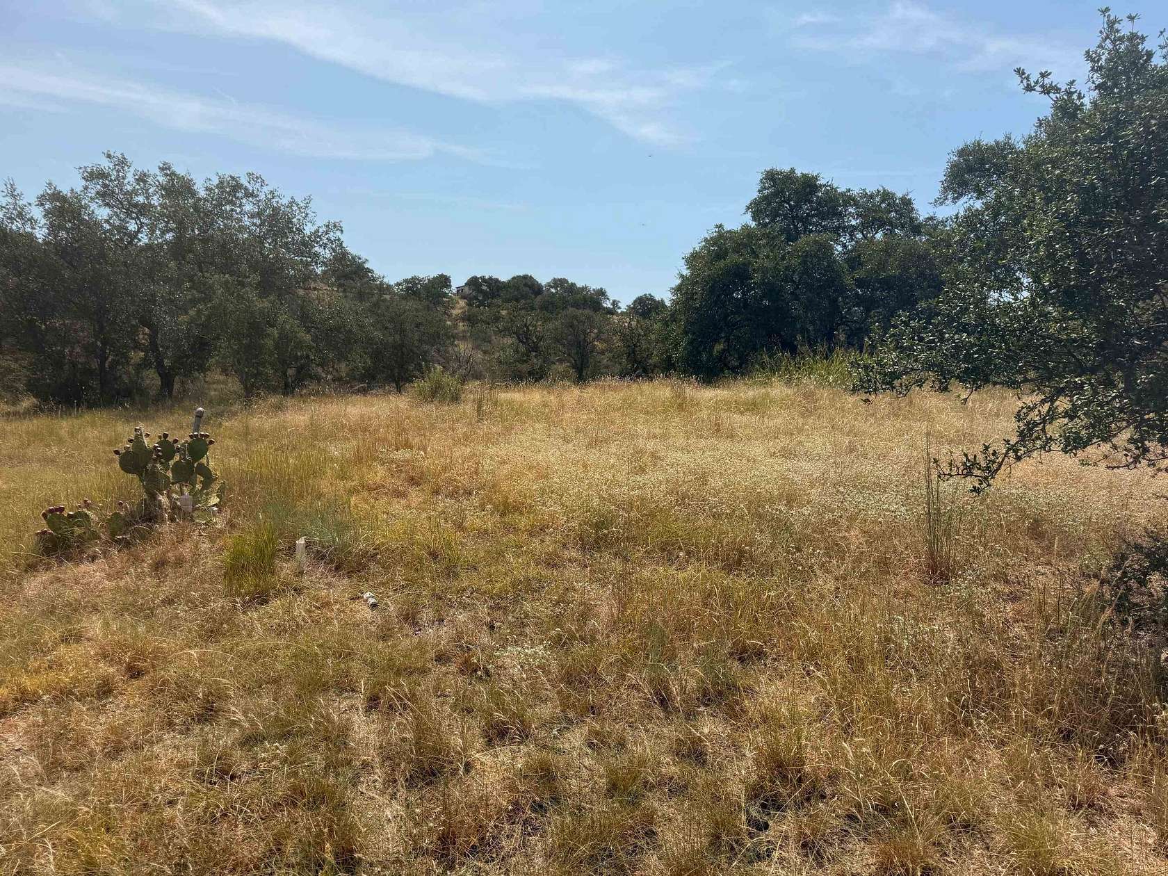 0.36 Acres of Residential Land for Sale in Horseshoe Bay, Texas