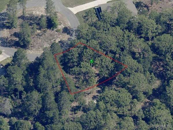 0.28 Acres of Residential Land for Sale in Homosassa, Florida
