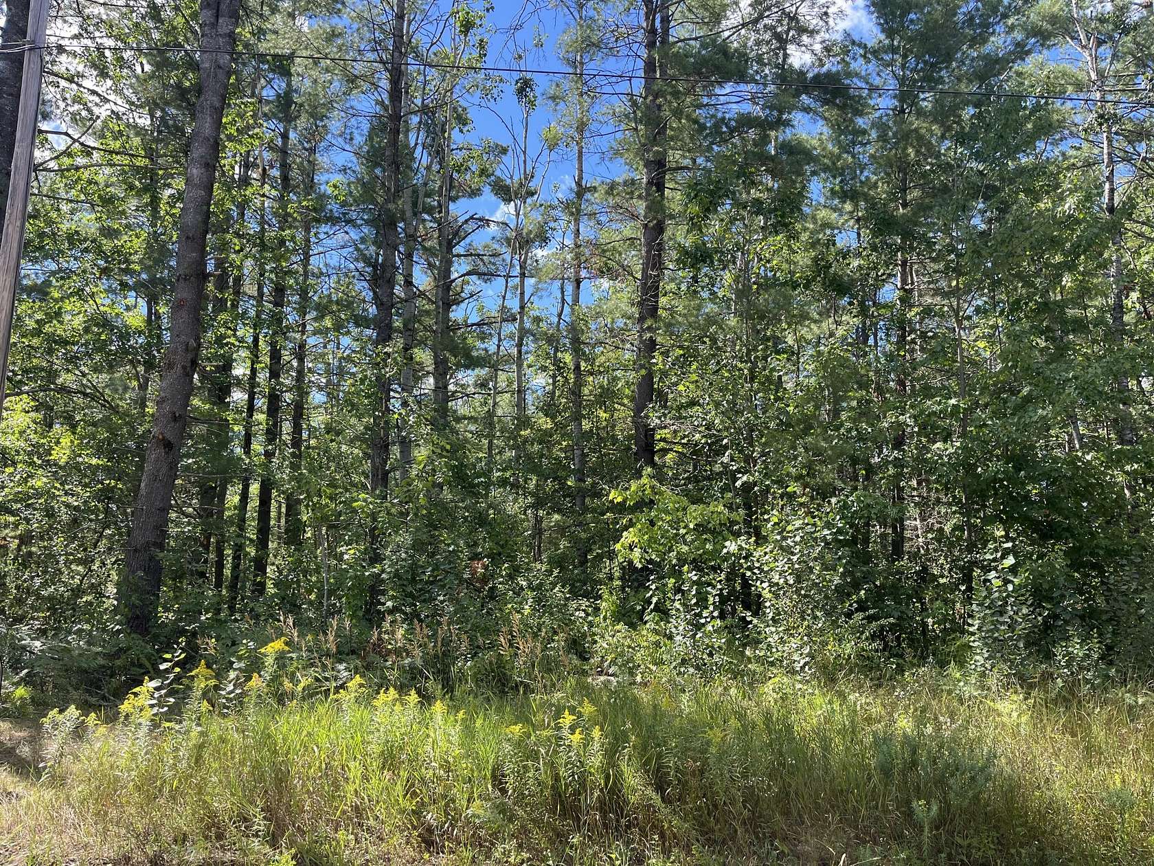 Land for Sale in Gaylord, Michigan