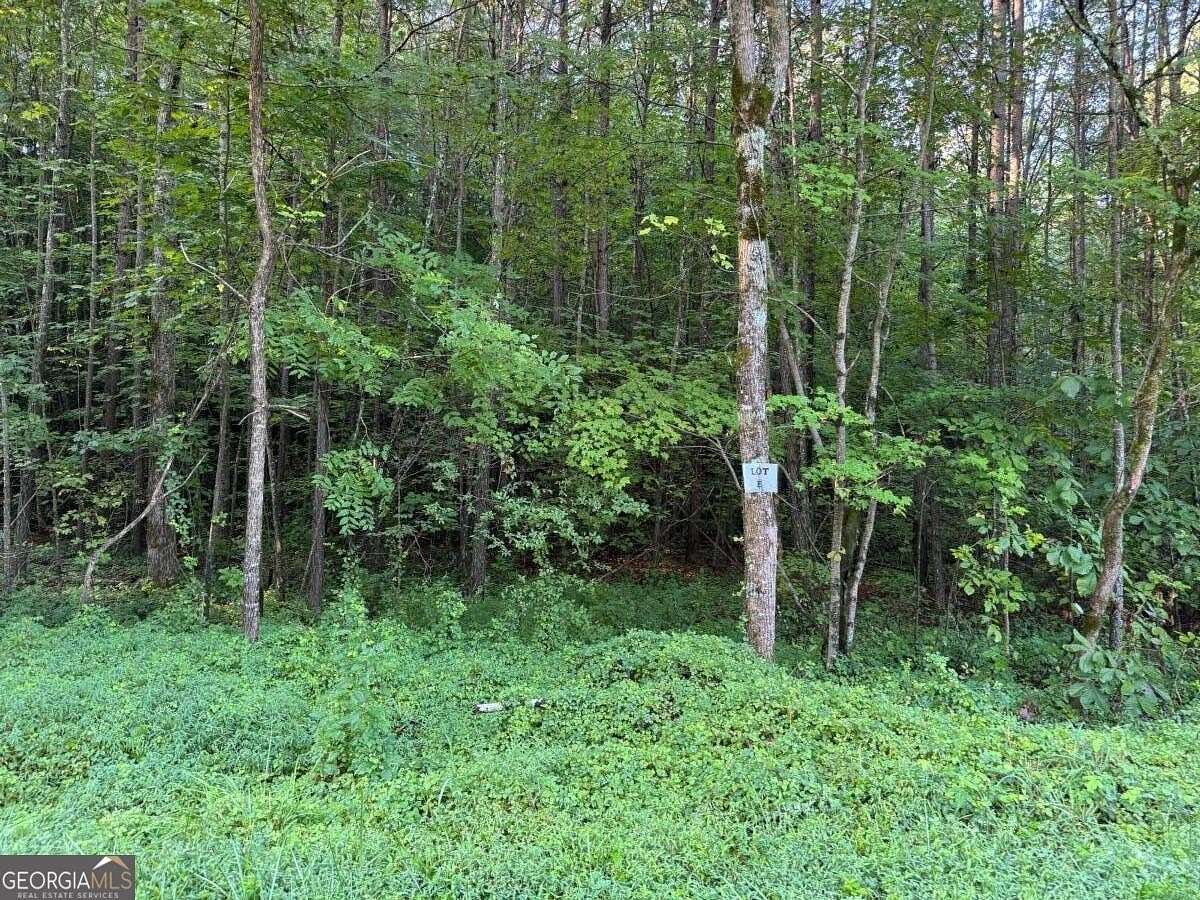2.54 Acres of Residential Land for Sale in Talking Rock, Georgia