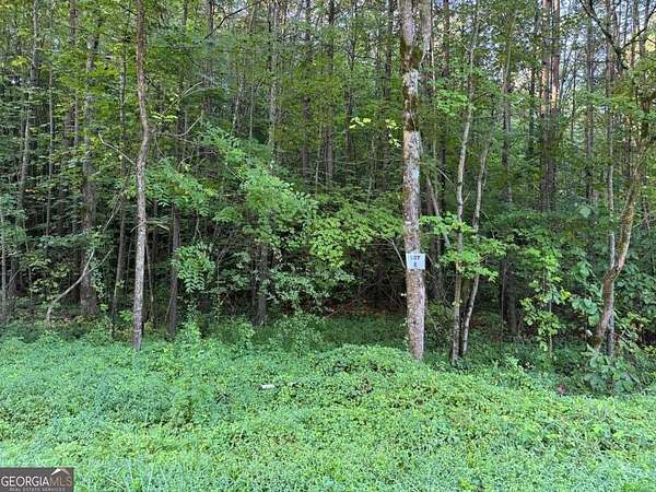 2.54 Acres of Residential Land for Sale in Talking Rock, Georgia