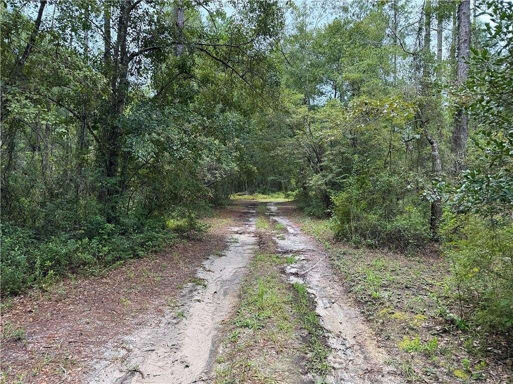 4 Acres of Land for Sale in Hortense, Georgia