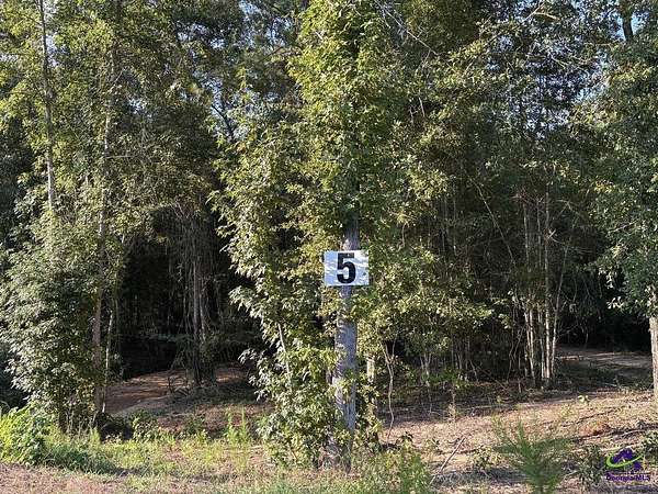 4 Acres of Residential Land for Sale in Byron, Georgia