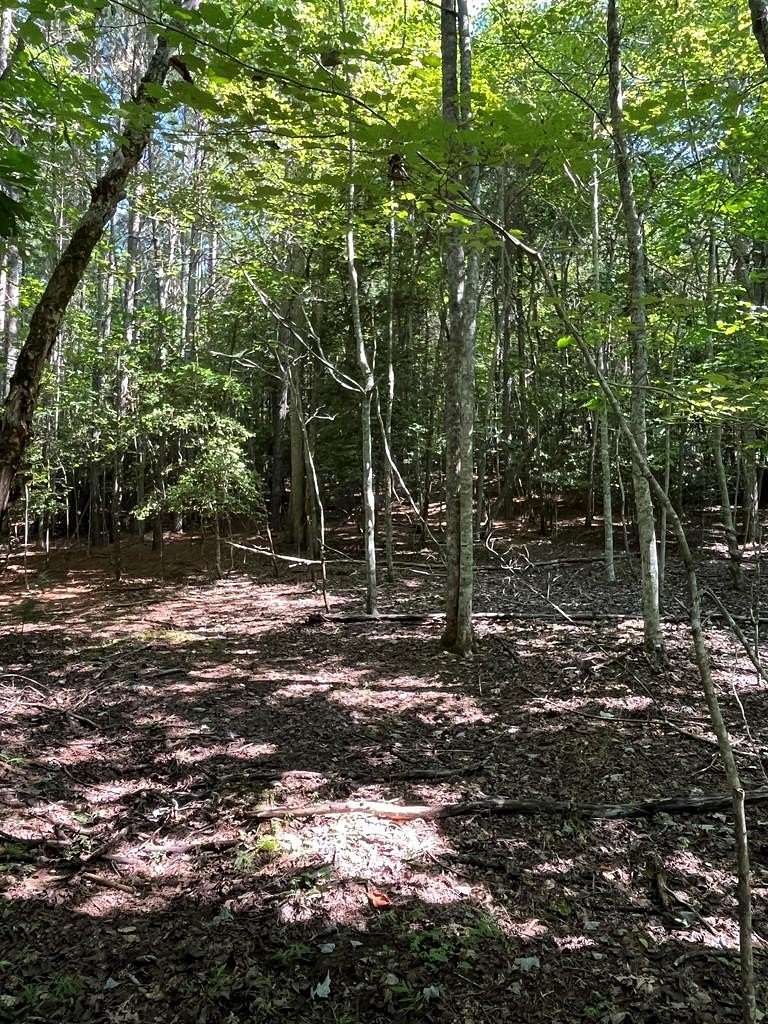 1.64 Acres of Land for Sale in Young Harris, Georgia
