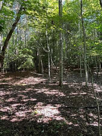 1.64 Acres of Residential Land for Sale in Young Harris, Georgia