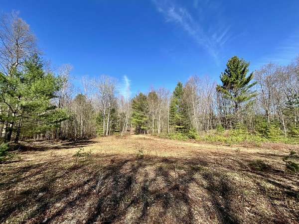 60.2 Acres of Recreational Land for Sale in Star Lake, New York