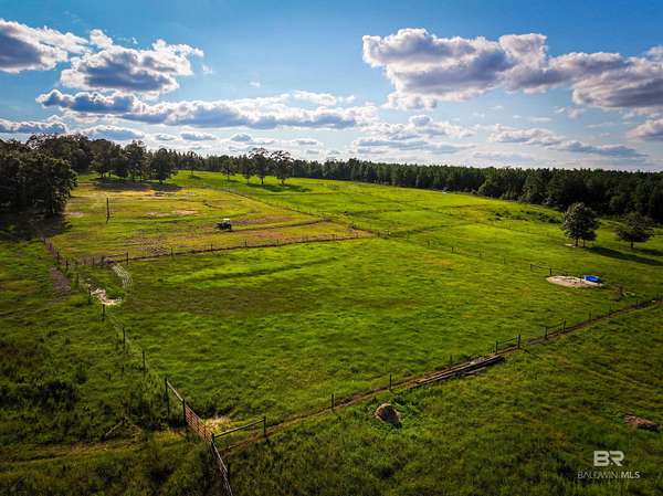 18.5 Acres of Land for Sale in Brewton, Alabama
