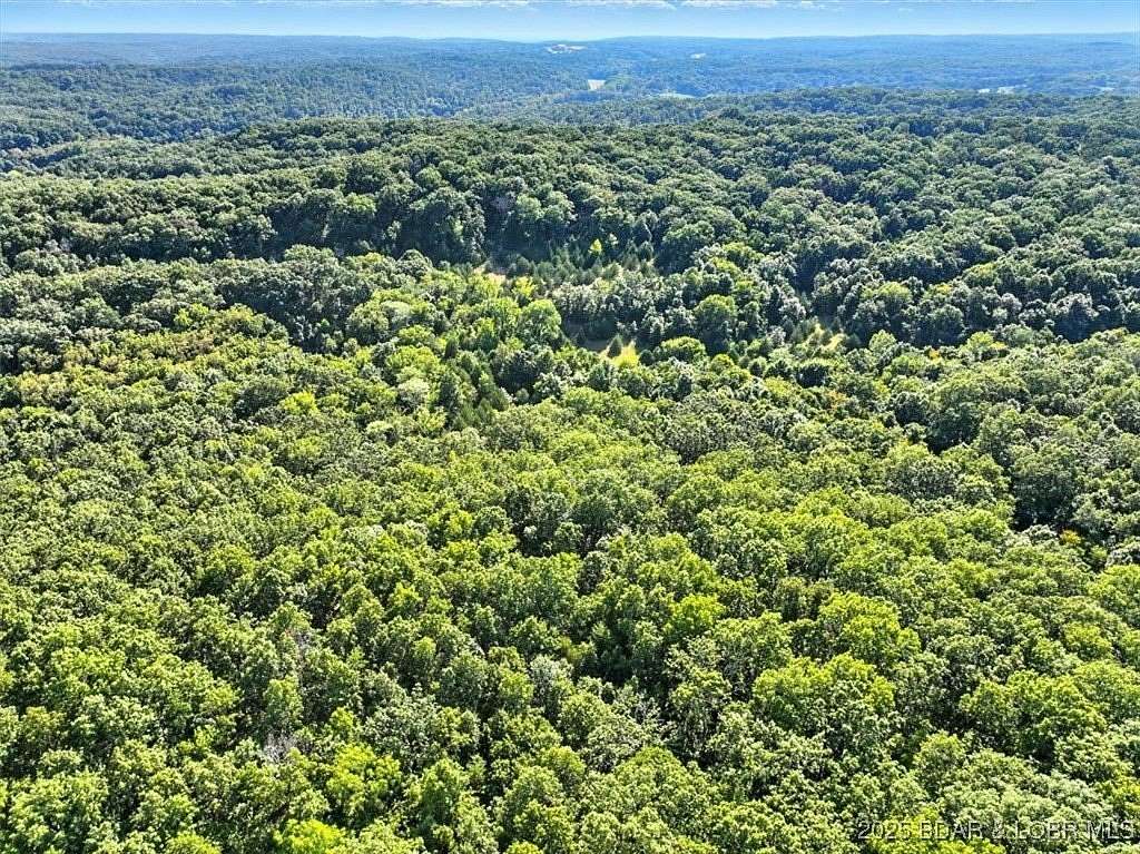 40 Acres of Recreational Land for Sale in Gravois Mills, Missouri