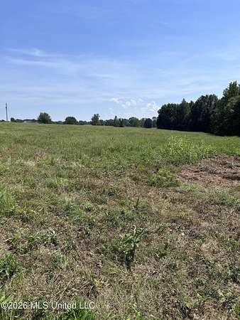 10 Acres of Land for Sale in Hernando, Mississippi