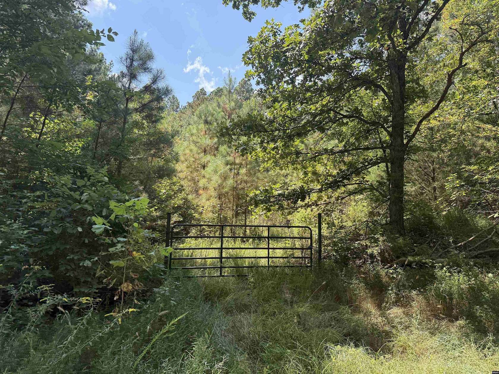 42 Acres of Agricultural Land for Sale in Dresden, Tennessee