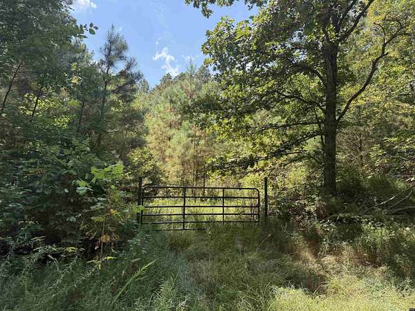 42 Acres of Agricultural Land for Sale in Dresden, Tennessee