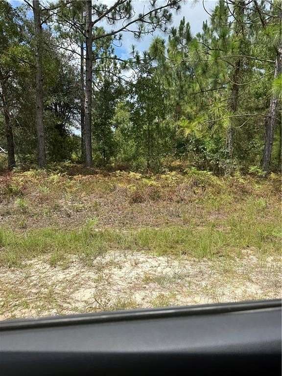 1.1 Acres of Residential Land for Sale in Hortense, Georgia