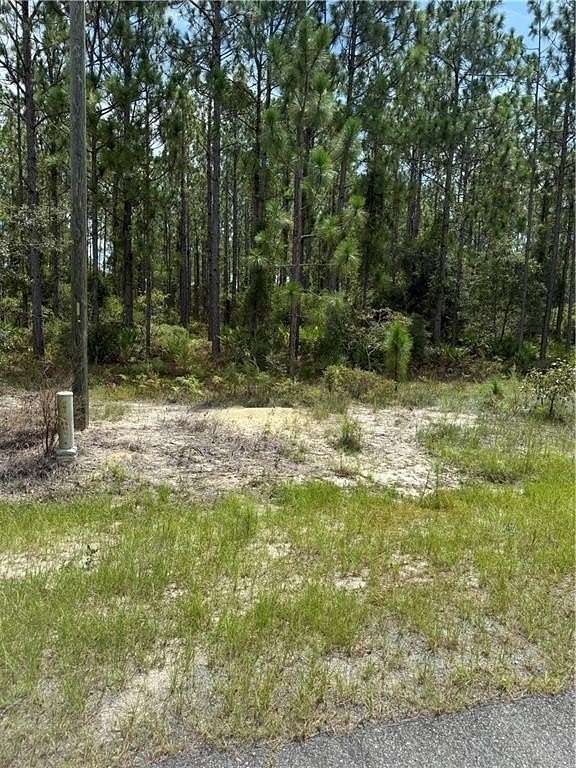 1 Acre of Residential Land for Sale in Hortense, Georgia