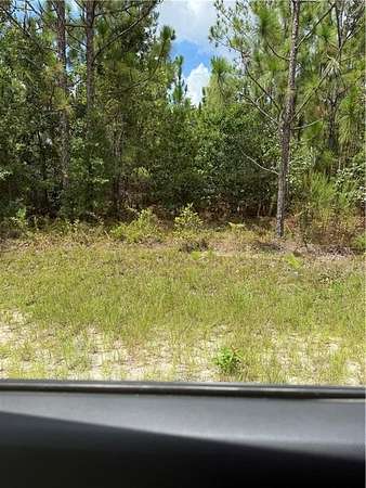 1 Acre of Residential Land for Sale in Hortense, Georgia