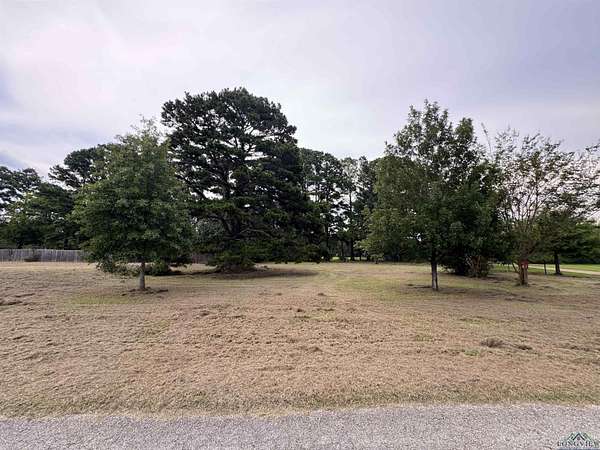 0.83 Acres of Residential Land for Sale in Henderson, Texas