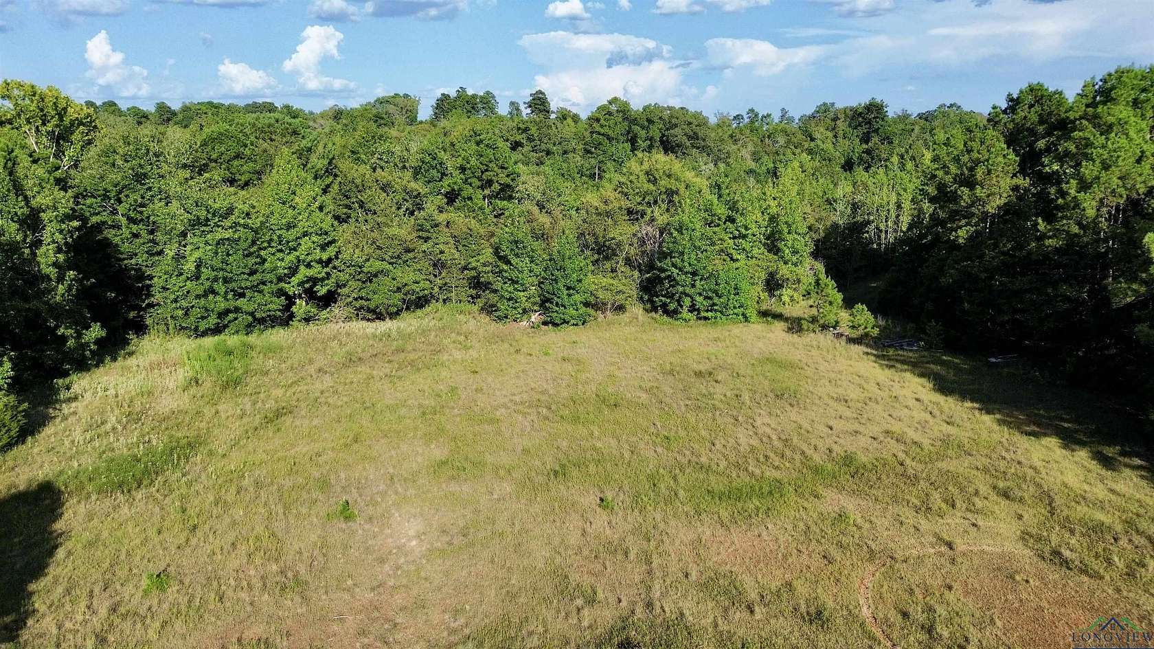 65.3 Acres of Recreational Land for Sale in Gilmer, Texas