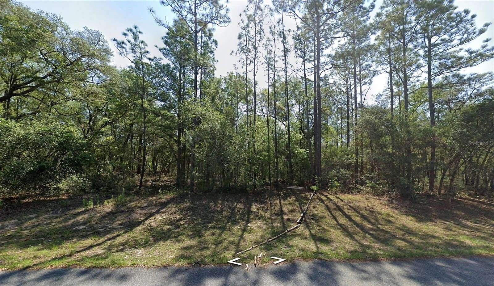 0.35 Acres of Residential Land for Sale in Dunnellon, Florida
