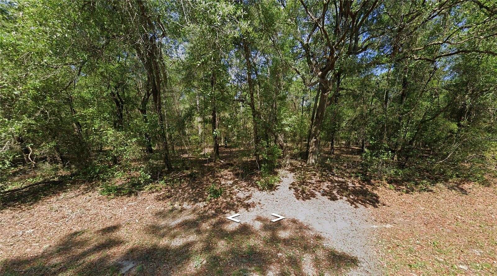 0.34 Acres of Residential Land for Sale in Dunnellon, Florida