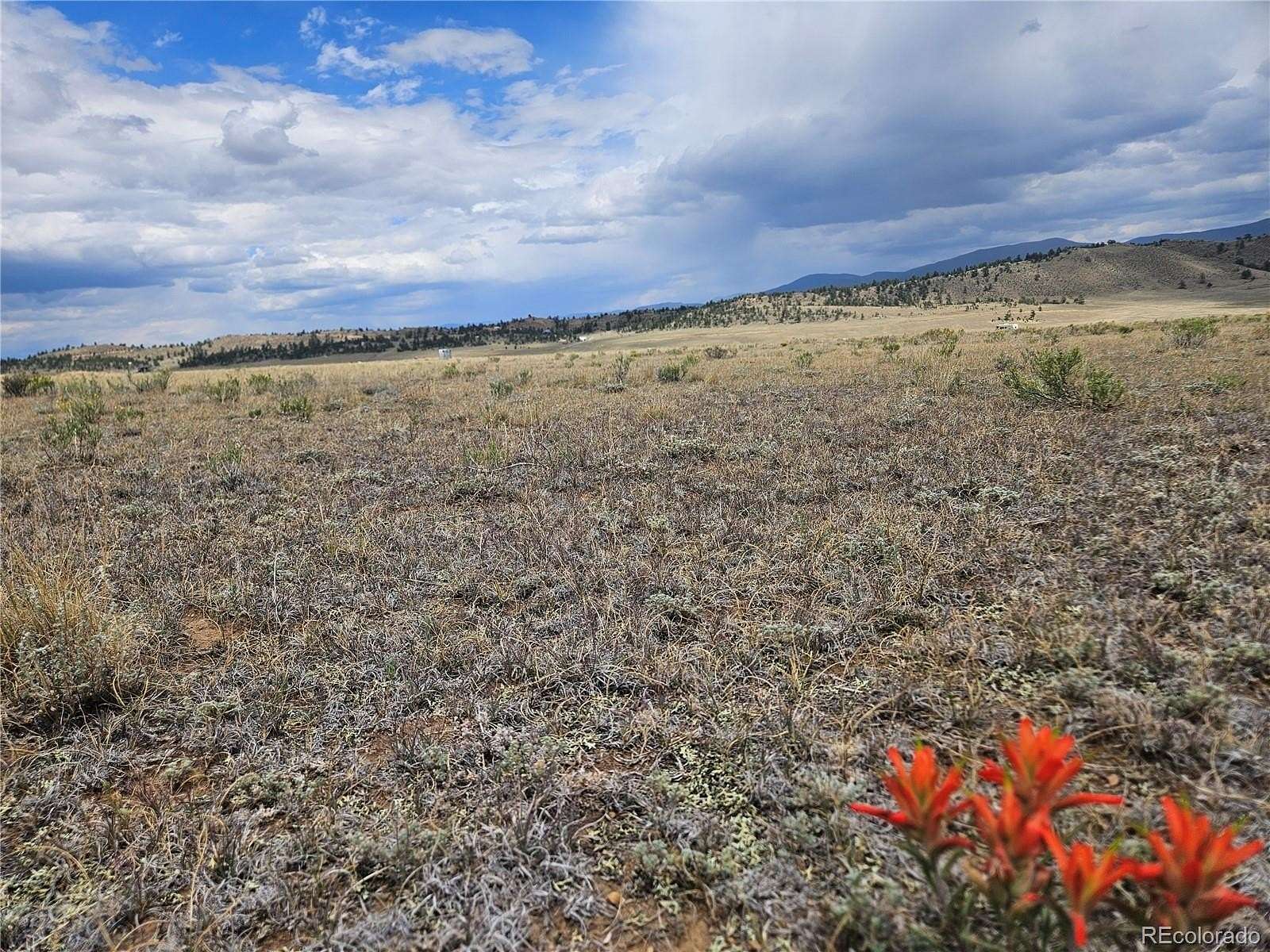 5 Acres of Land for Sale in Hartsel, Colorado