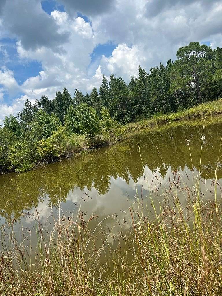 8.25 Acres of Residential Land for Sale in Willacoochee, Georgia