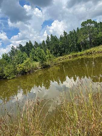 8.25 Acres of Residential Land for Sale in Willacoochee, Georgia