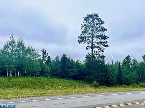 107 Acres of Recreational Land for Sale in Cook, Minnesota