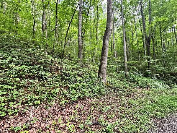 1.85 Acres of Residential Land for Sale in Hayesville, North Carolina