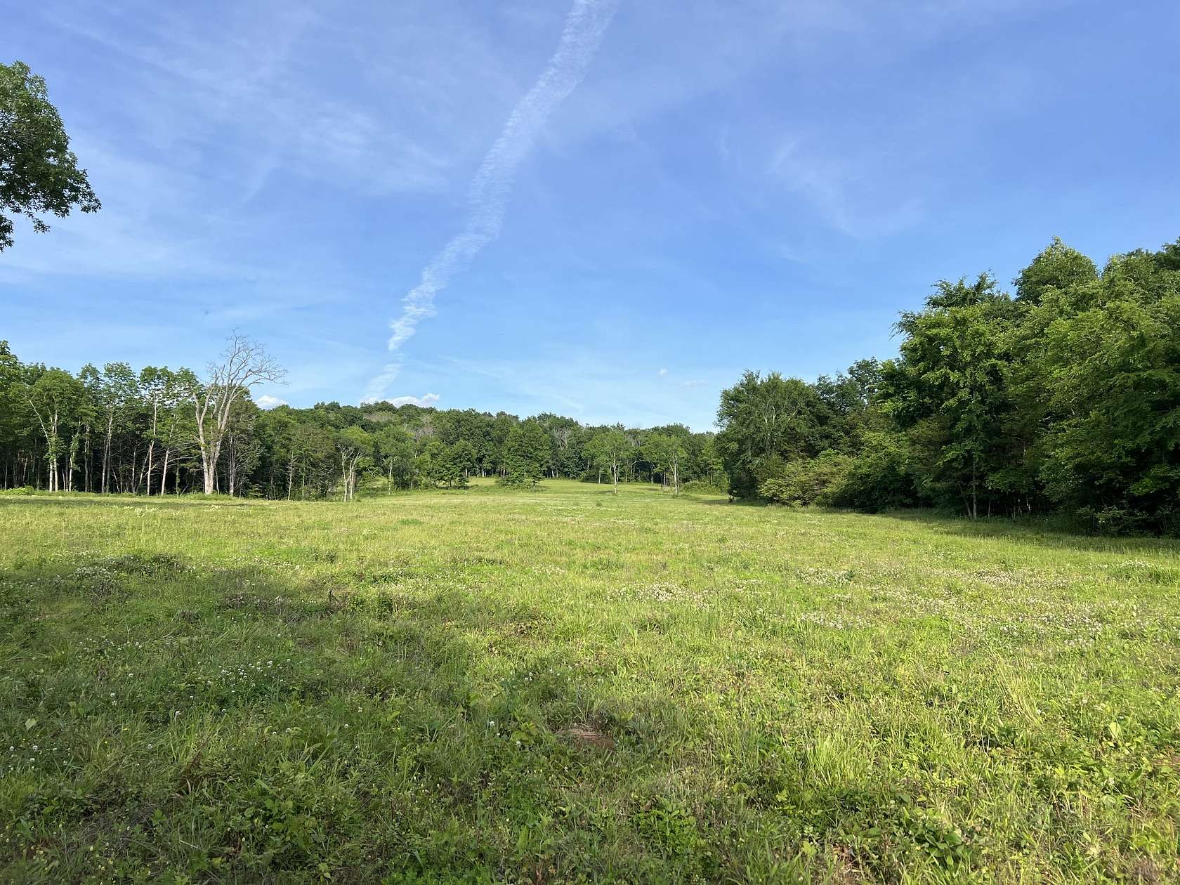 56.8 Acres of Agricultural Land for Sale in Eagleville, Tennessee