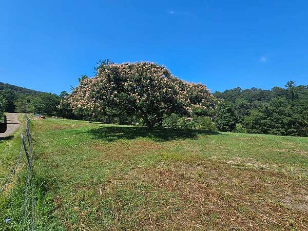 45.5 Acres of Recreational Land & Farm for Sale in Purgitsville, West Virginia