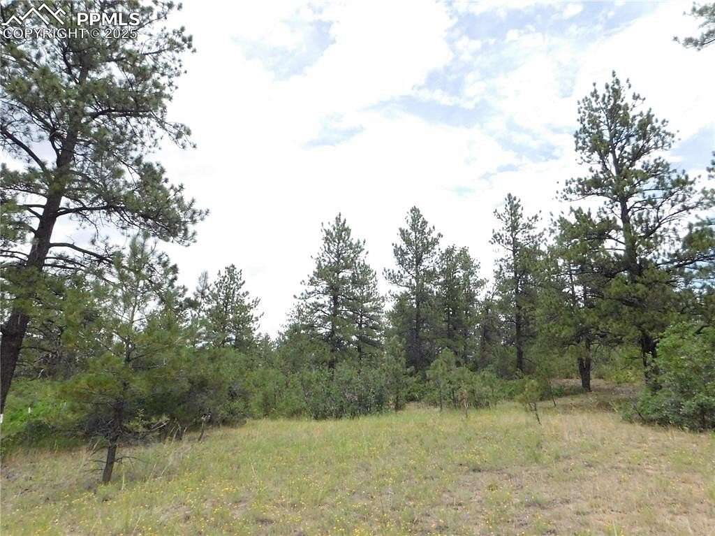 0.5 Acres of Land for Sale in Larkspur, Colorado