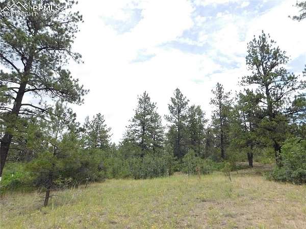 0.5 Acres of Land for Sale in Larkspur, Colorado