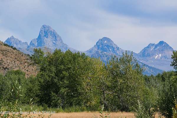 20 Acres of Recreational & Residential Land for Sale in Felt, Idaho