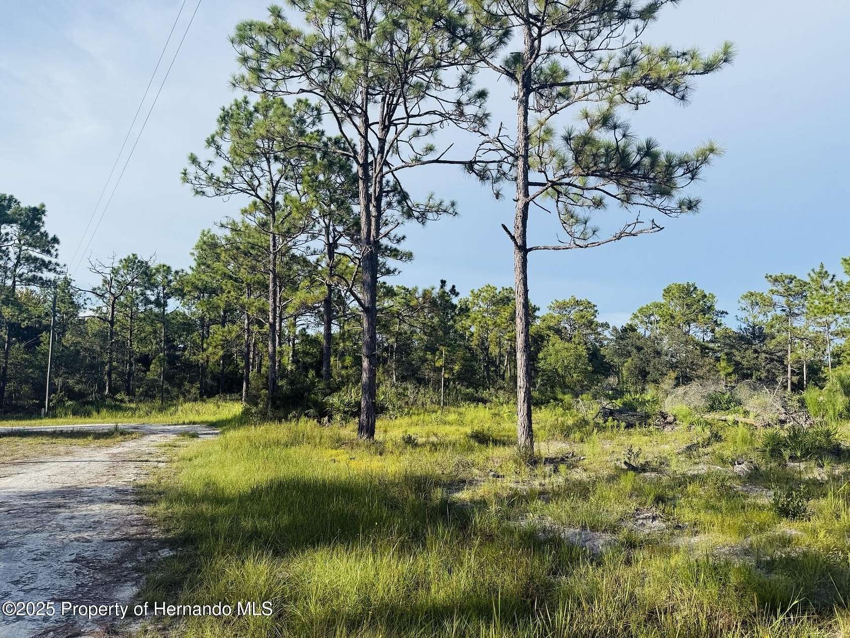 1.6 Acres of Residential Land for Sale in Brooksville, Florida