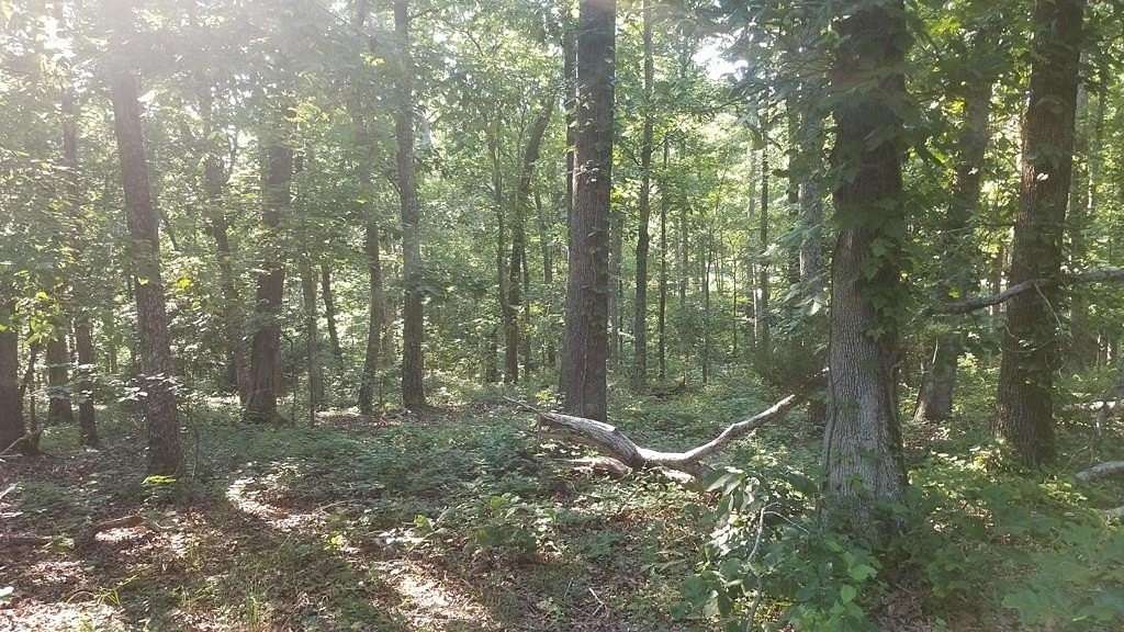 0.36 Acres of Residential Land for Sale in Holladay, Tennessee
