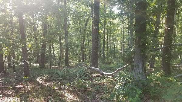 0.36 Acres of Land for Sale in Holladay, Tennessee