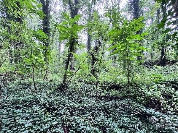 0.99 Acres of Residential Land for Sale in Flat Rock, North Carolina